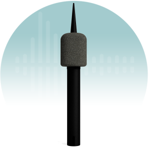 PMK55-1 outdoor microphone